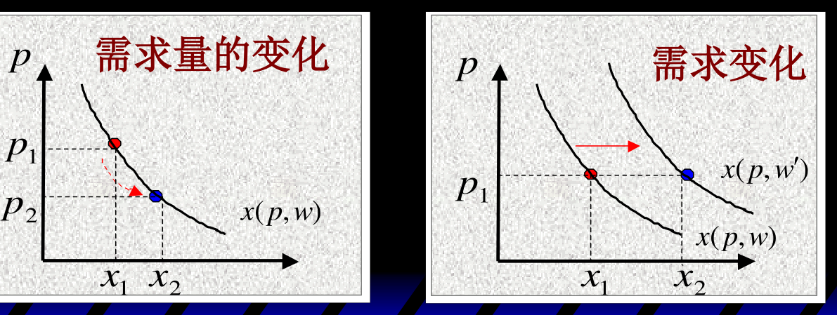 左:需求量的变化——价格从 p₁ 降到 p₂,沿同一条需求曲线 x(p,w) 移动;右:需求变化——收入上升使需求曲线从 x(p,w) 移到 x(p,w′)