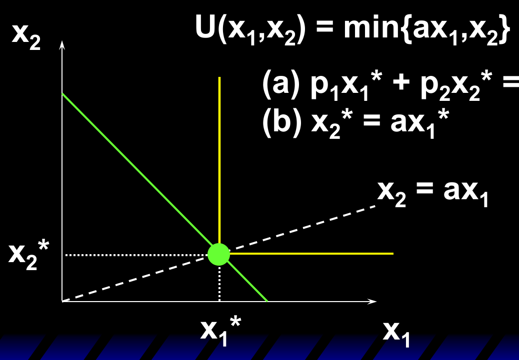 完全互补：最优选择在预算线与扭折线 x2=ax1 的交点