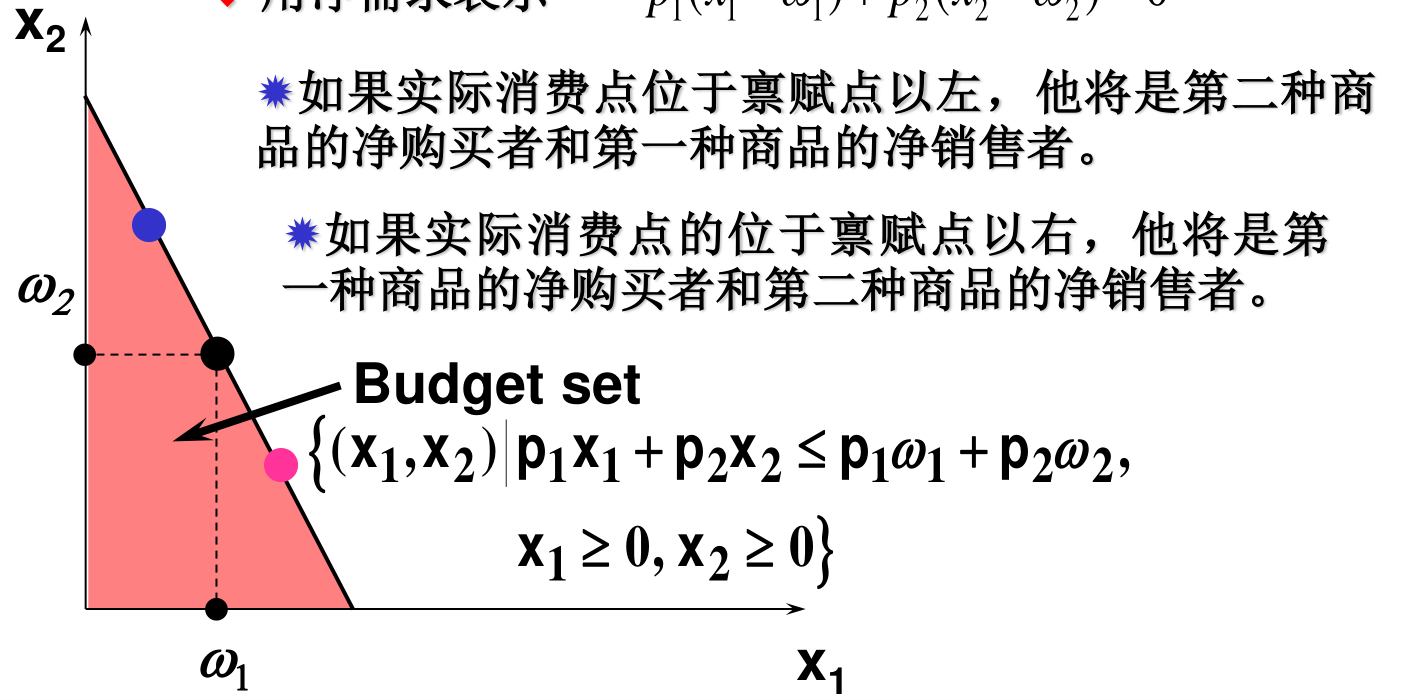 包含禀赋的预算约束与预算集：预算线经过禀赋点 (ω1, ω2)，禀赋点以左消费是商品1的净销售、商品2的净购买，以右相反