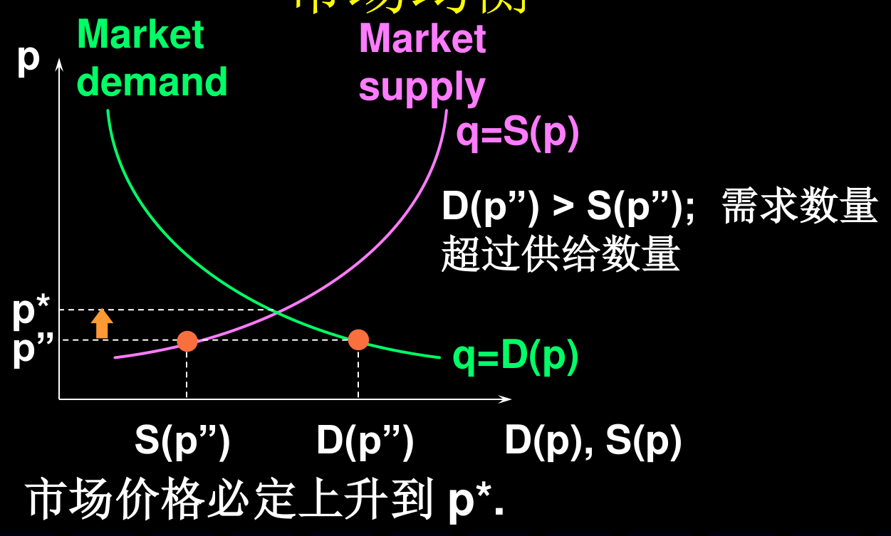 超额需求：p'' 低于均衡价，D(p'')>S(p'')，价格向上调整回 p*