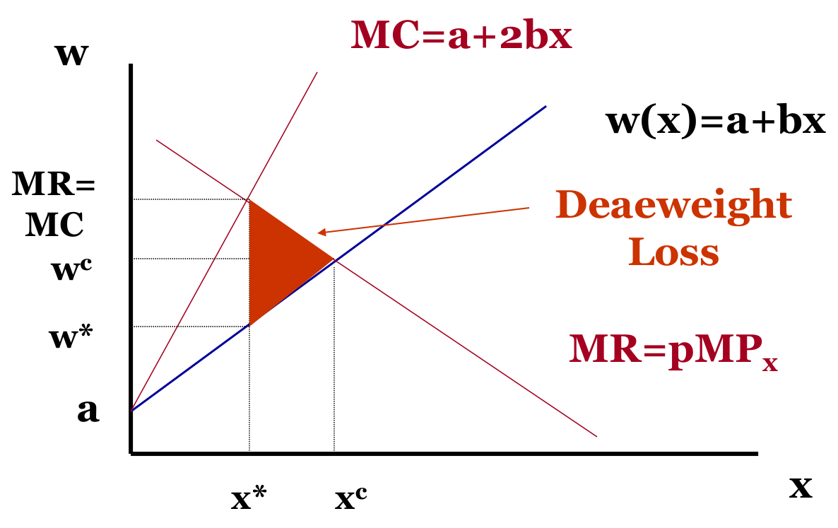 买方垄断线性例子（最终状态）：MC = a+2bx 与 MR = pMPₓ 的交点决定 x*、w*，低于竞争均衡的 xᶜ、wᶜ，两者之间形成无谓损失三角形